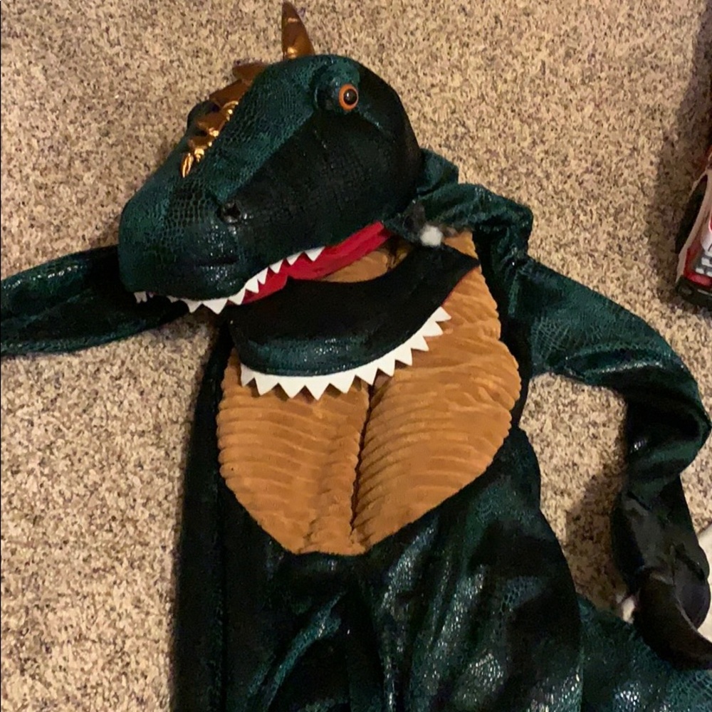 Dinosaur costume
